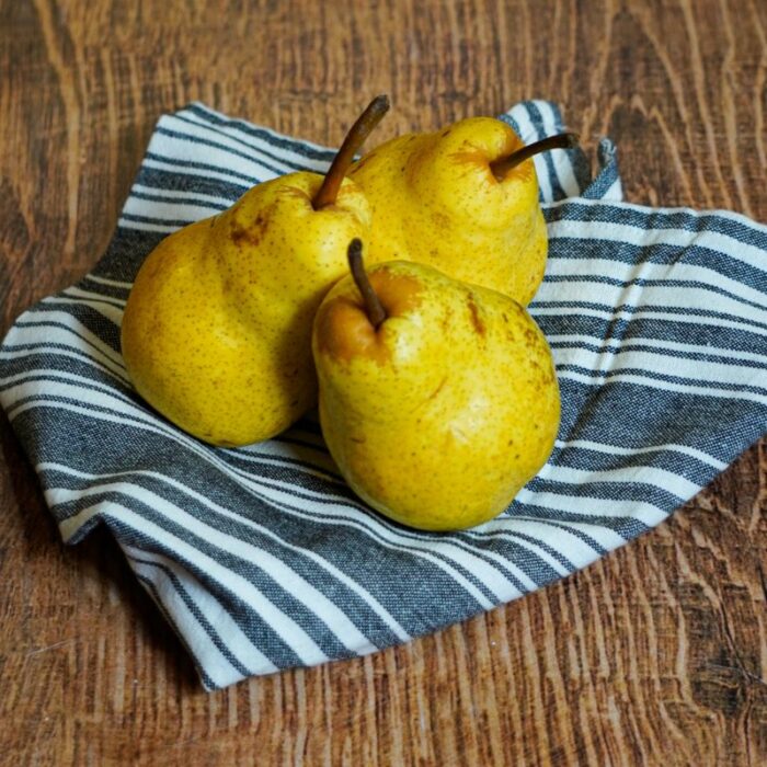 Poire Williams verte Afrique du Sud