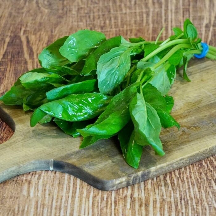 Basilic botte
