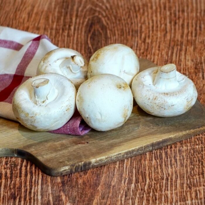 Champignons blancs à farcir France