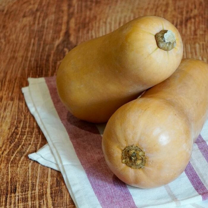 Courge Butternut Espagne