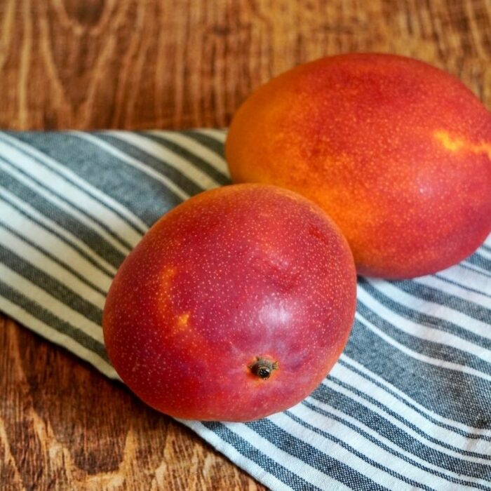 Mangue bateau Pérou
