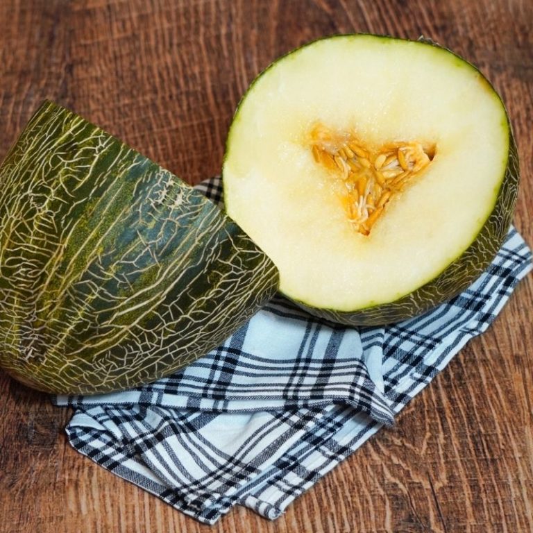 Melon vert Espagne Les 5 Fermes