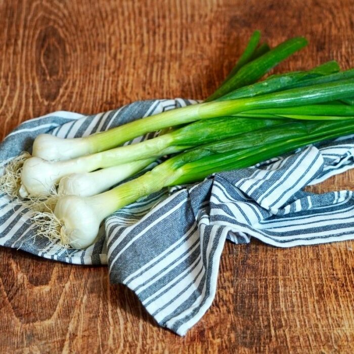 Oignon blanc frais botte Espagne