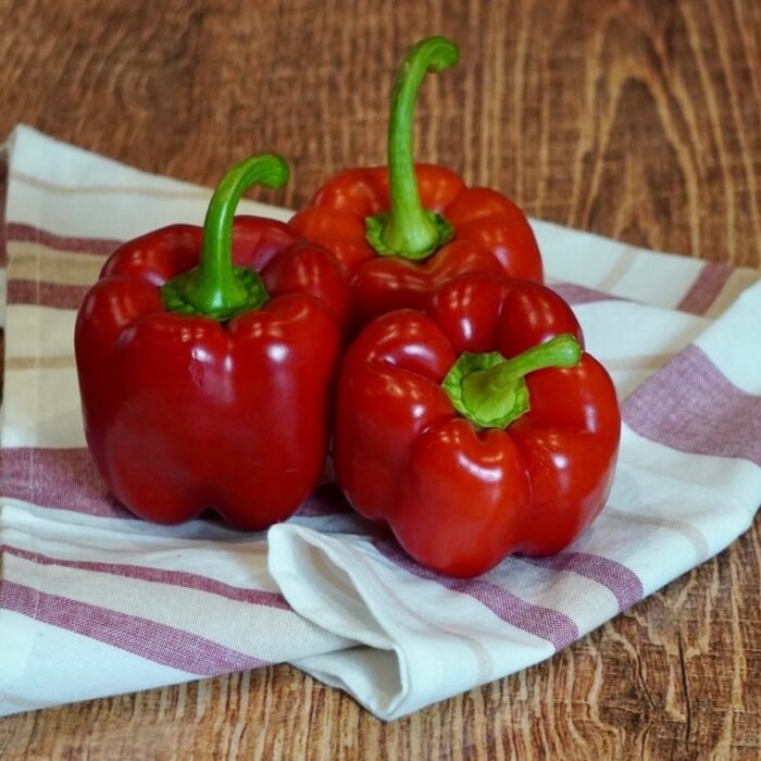 Poivron rouge Hollande