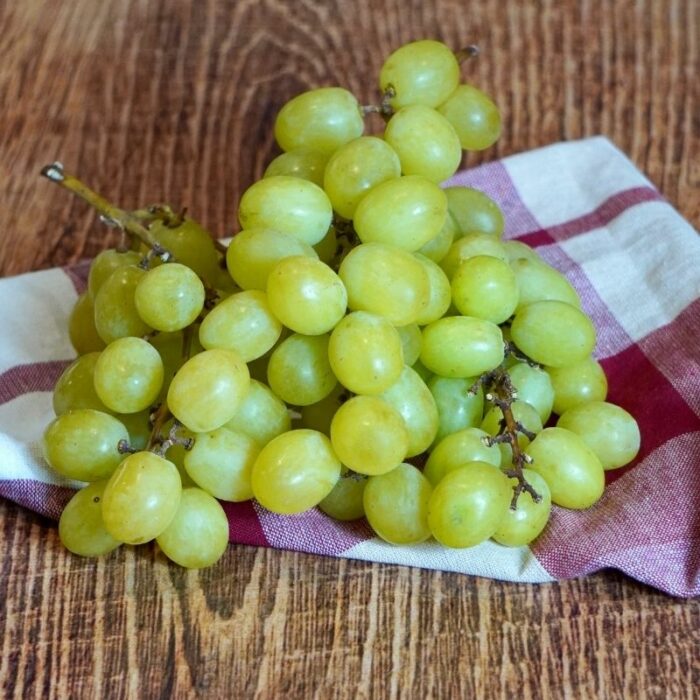 Raisin Italia EXTRA - Italie