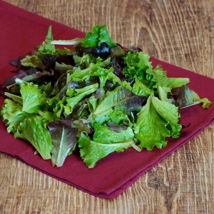 Salade mesclun 125 g barquette France