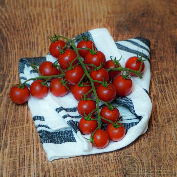 Tomate Jouno sweet baby France