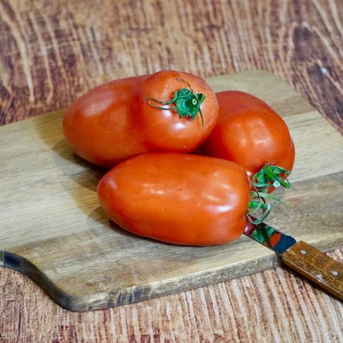 Tomate Torino France