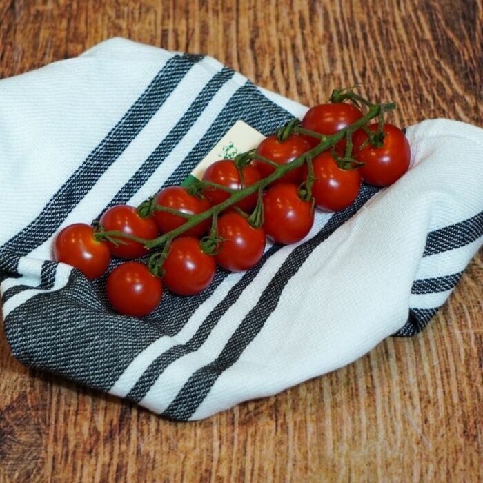 Tomates cerises grappe Rabelais France