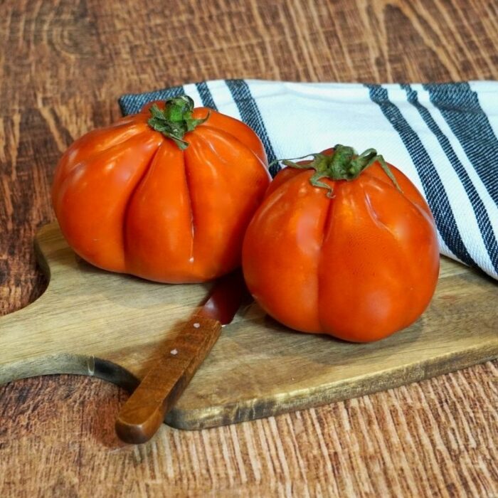 Tomate cœur de bœuf France