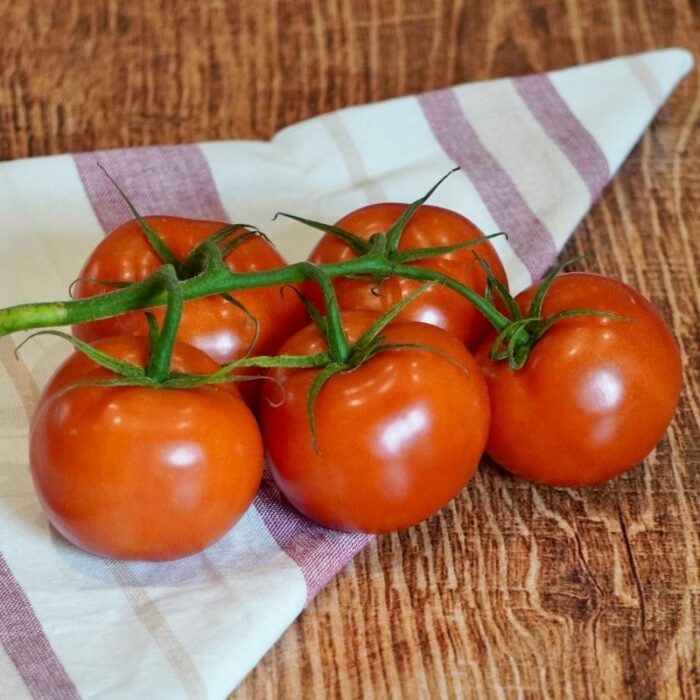 Tomates grappe France