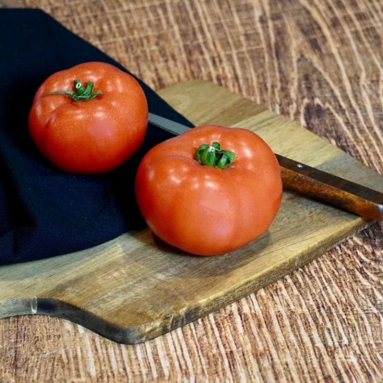 Tomate ronde Espagne - Les 5 Fermes