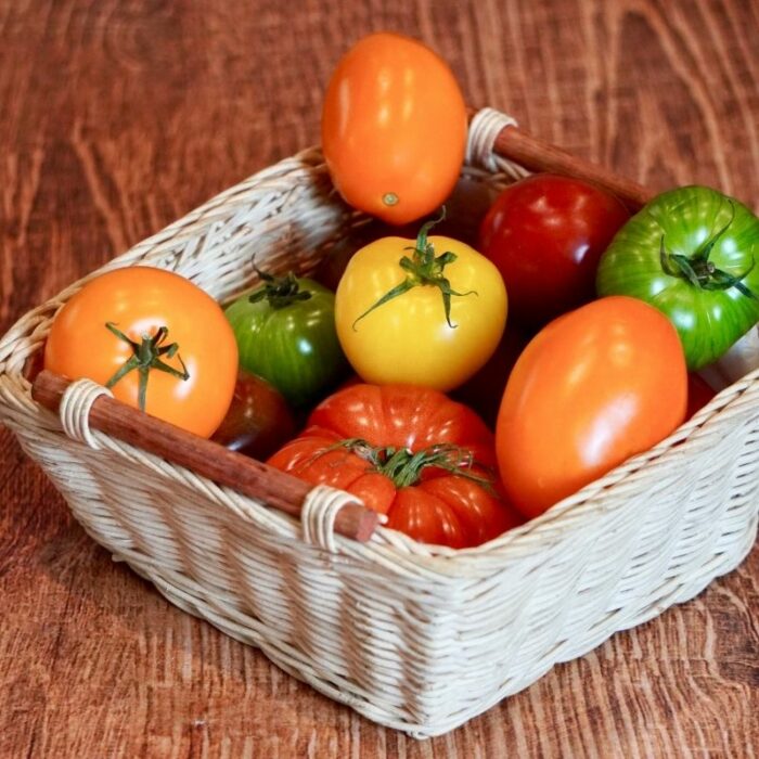 Tomates variétés anciennes France