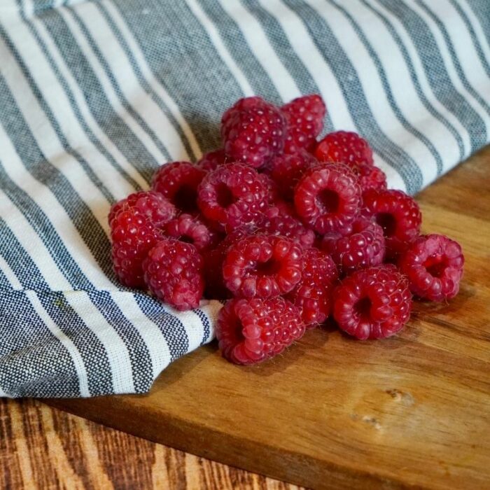 Framboises 125g barquette Maroc